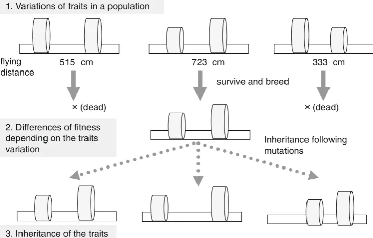 Fig. 5 Visual illustration of the three assumptions of evolution by natural selection