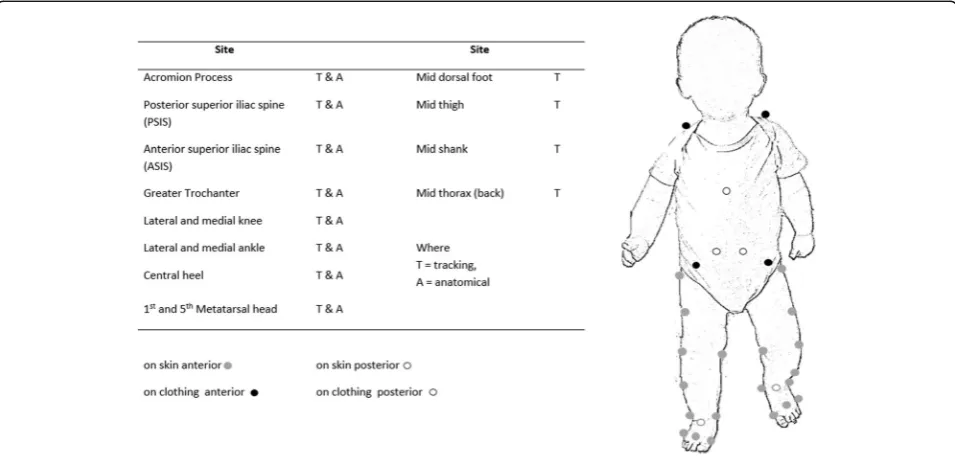 Fig. 2 Schematic of laboratory setup including pressure platform,motion capture cameras and volume of nursery area