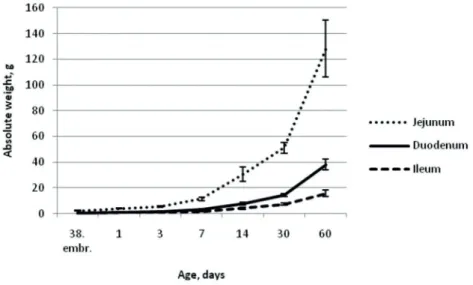 Figure  1  demonstrates  that  the  jejunum  had  a  pronounced  increase  in  weight  starting  with  the  3rd  day  of  life  of  the  ostrich  chicks