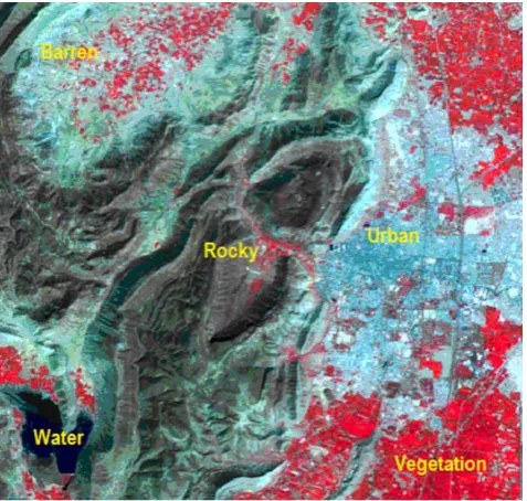 Figure 4: Input Image used for classification 