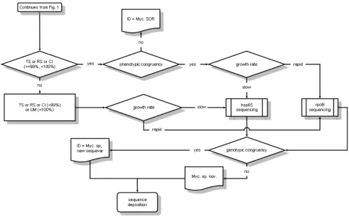 Figure 2. TS = type strain; RS = reference strain; CI = clinical (or environmental) isolate; UM = unnamed my-cobacterium; OTRS = species other than recognized 