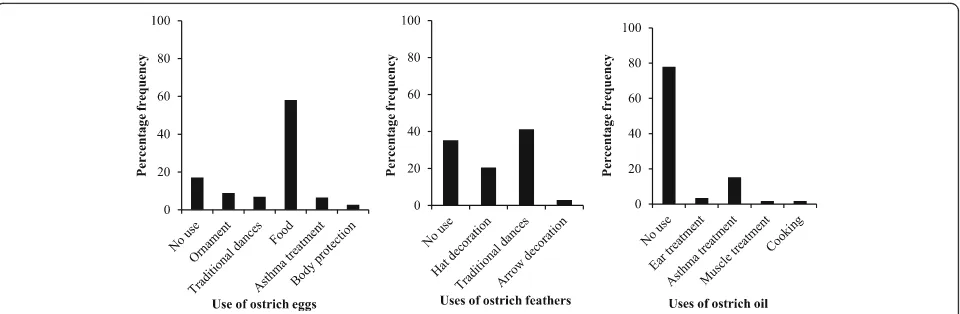 Fig. 3 Percentage frequency of the different uses of ostrich products in the Serengeti District, Tanzania, 2006