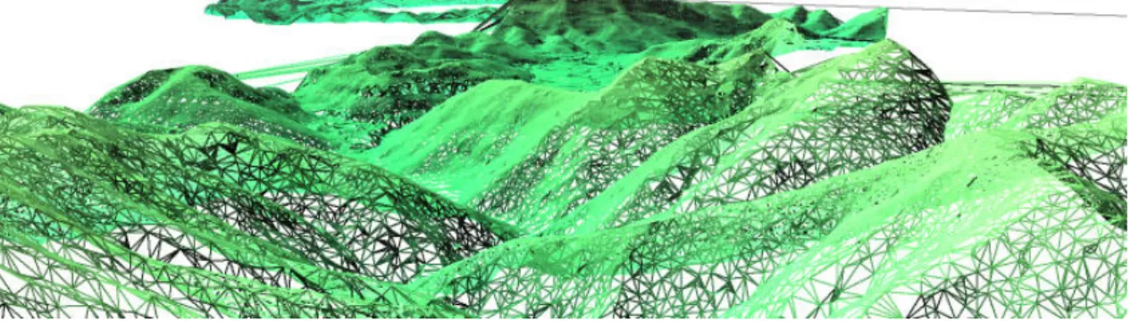 Figure 5. Triangulation irregular net digital terrain model. 