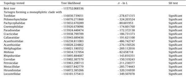 Fig. 4. The strict consensus tree (36 steps long, C.I. = 0.61, R.I. = 0.58) calculated from the 20 morphological characters in Table 4.