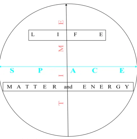 Fig. 2 Ecological functional schematic