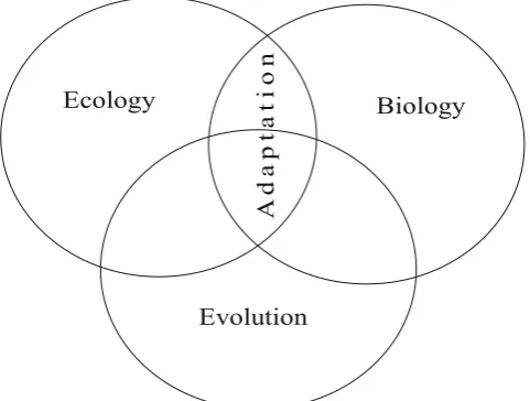 Fig. 4 Interaction of knowledge bases schematic