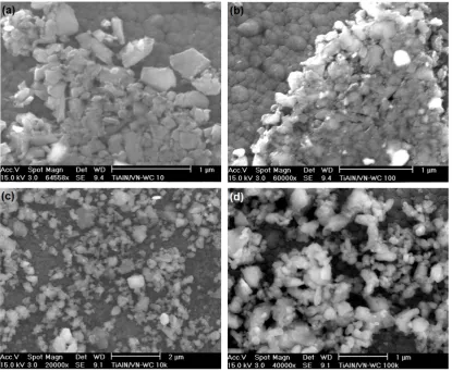 Figure 5. High magnification FEG-SEM secondary electron (SE) images showing the evolution of 
