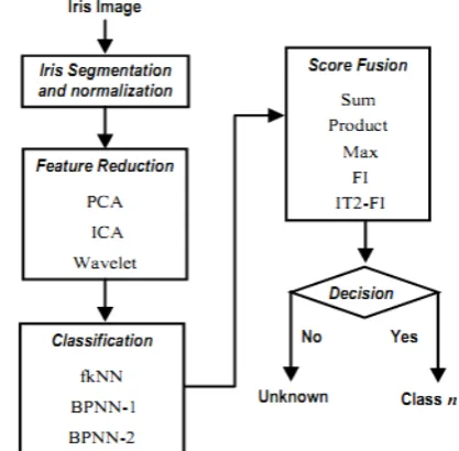 Figure 1. Iris recognition system with multiple classifiers.   