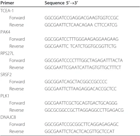 Table 1 Primers used for cloning.