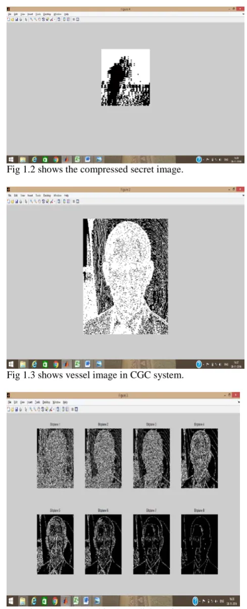 Fig 1.3 shows vessel image in CGC system.        