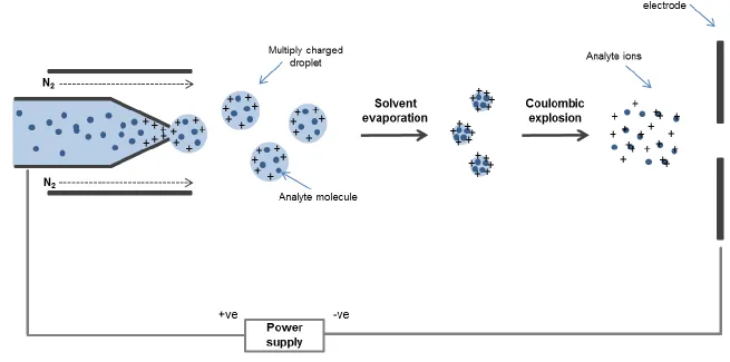 Figure 1.6: Schematic of electrospray ionisation. Multiply charged droplets are expelled from the needle