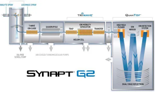 Figure 1.8: Schematic of the Waters SynaptTM G2 HDMS instrument. Image reproduced from The University of Warwick showing the main components of the Synapt G2 HDMS; the ionisation source, the quadrupole mass analyser, the triwave ion mobility separation reg