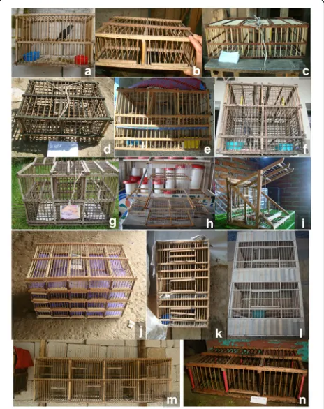 Fig. 10 Sample of frameworks used by theelevator (captured birds ((yucatecalure (compartment (compartment (lure (doble pajareros