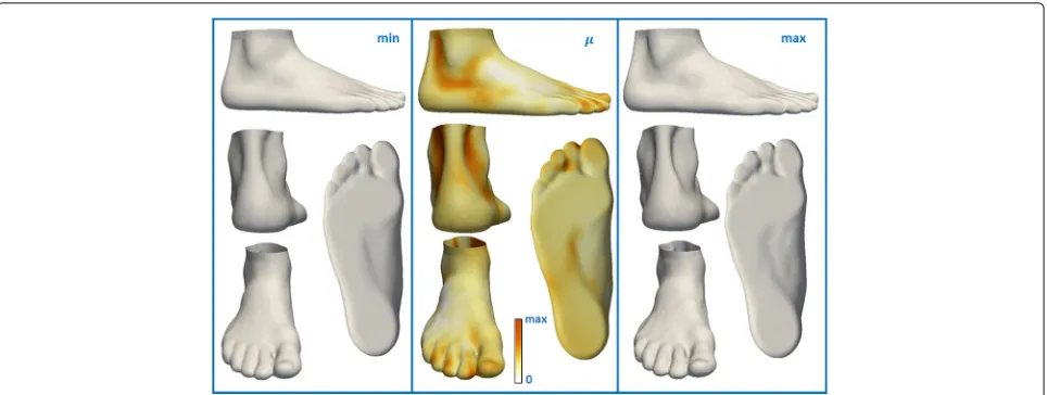 Fig. 8 Visualization of the effect of frequency of sport activity on foot shape. The influence of frequency of sport activity on foot shape (middle), theexpected foot shape for 0 hours/week (left), the expected foot shape for 15 hours/week (right)
