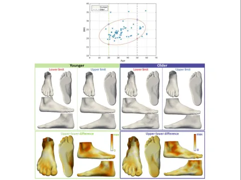 Fig. 4 Visualization of the effect of BMI on foot shape. The influence of BMI on foot shape of younger people (20 years old, green box), and theinfluence of BMI on foot shape of older people (50 years old, purple box)