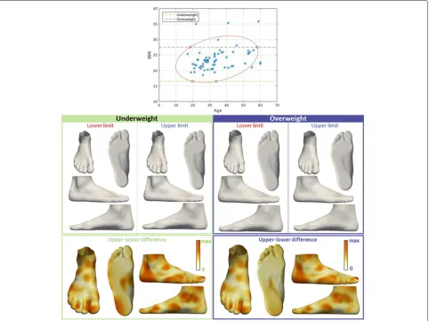 Fig. 5 Visualization of the effect of age on foot shape. The influence of age on foot shape of underweight people (16.5 BMI, green box), and theinfluence of age on foot shape of overweight people (27.5 BMI, purple box)