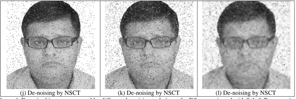 Figure 4. De-noised images generated by different de-noising techniques for DS contaminated with Salt & Pepper noise