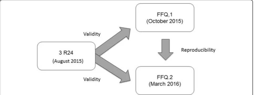 Fig. 1 Validation process of FFQ for the Peruvian Amazon population