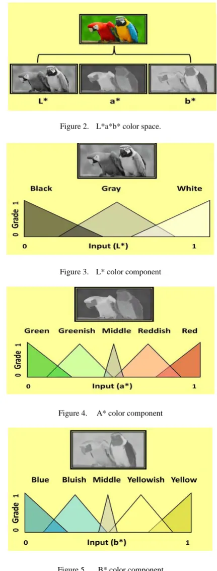 Figure 2.  L*a*b* color space. 