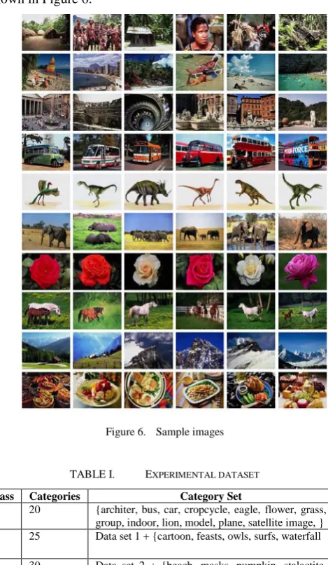 Figure 6.  Sample images 
