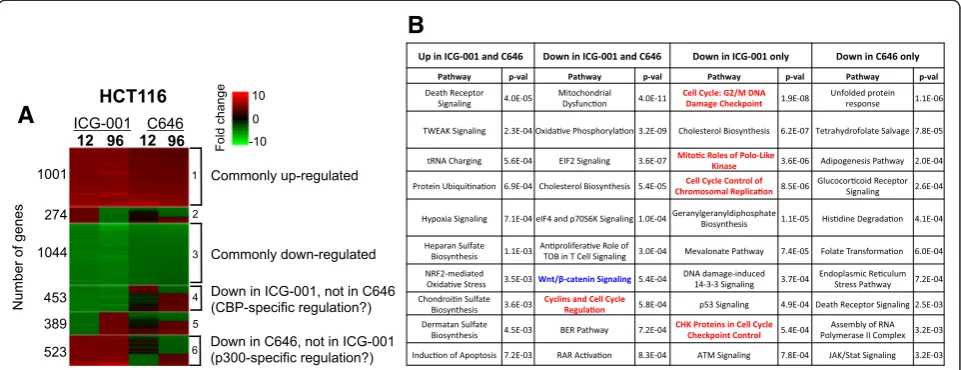 Figure 3 Effects of epigenetic inhibitors on gene expression in HCT116 cells. (A) Genes differentially expressed after treatment of HCT116 cellswith ICG-001 or C646 (see Figure 2) were analyzed using Euclidean distance and K-means clustering of expression 