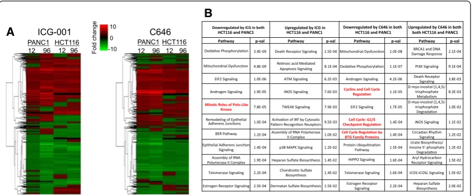 Figure 4 Effects of epigenetic inhibitors on gene expression in PANC1 cells. (A) Genes differentially expressed after treatment of PANC1cells with ICG-001 or C646 (see Figure 2) were analyzed using Euclidean distance and K-means clustering of expression fo