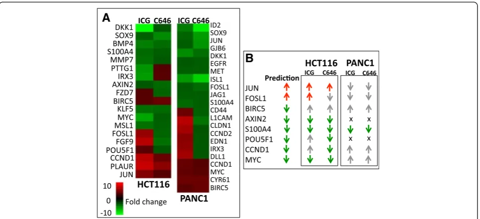 Figure 7 Effects of drug treatments on WNT pathway genes. (A) Shown are the expression changes in previously identified WNT pathwaygenes (http://www.stanford.edu/group/nusselab/cgi-bin/wnt/) that have a detection P value <0.01 and a differential P value <0