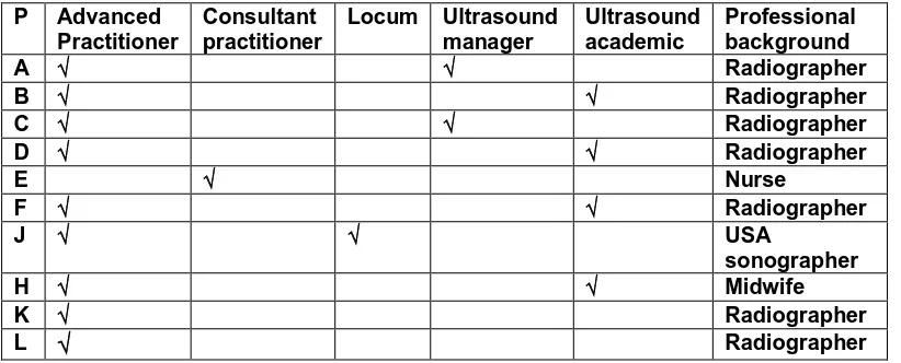 Table 3: Basic Participant Demographics 