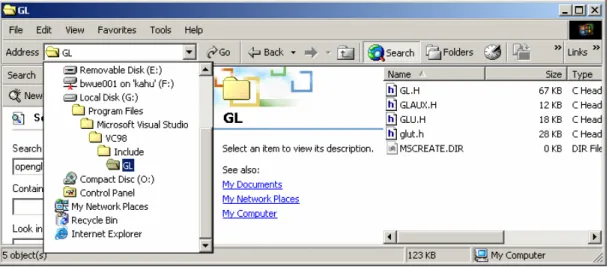 Figure 1.3: MS Visual Studio folder for OpenGL header files. 