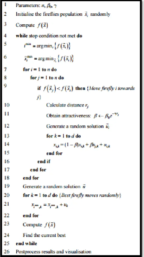 Figure 19: Pseudocode of Firefly Algorithm [30] 