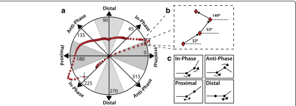 Fig. 1 a Polar coordinate chart for the identification of coordination patterns between foot joints rotations
