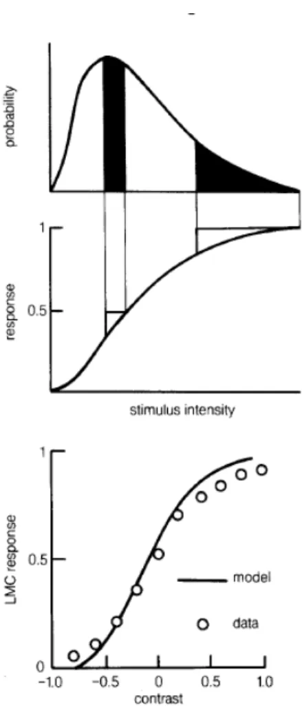 FIG. 1 Matching of input/output relation to the distribu- distribu-tion of inputs in the fly large monopolar cells (LMCs)