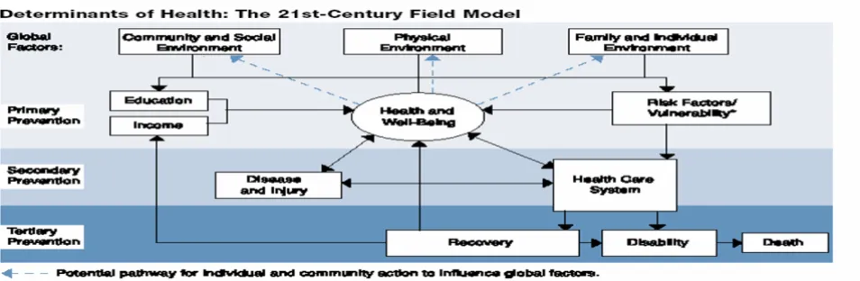 Figure 1Determinants of Health: The 21Determinants of Health: The 21