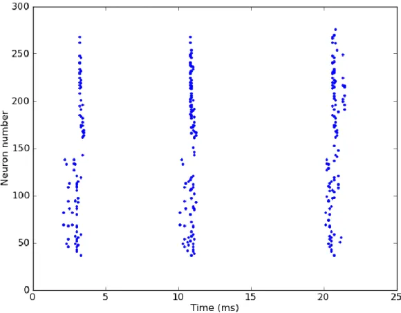 Figure 5: Raster plot of activity of 279 C. elegans neurons after input to AVAL and AVAR  neurons