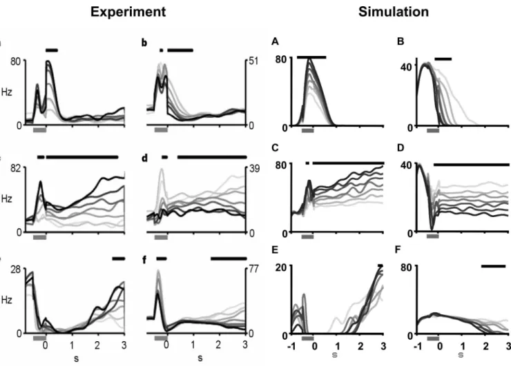 Figure 3. Tuning curve of a two-dimensional neuron defined by G i [ ␣ i 具 ˜ ␾ i 䡠 X典 ⫹ J i bias 