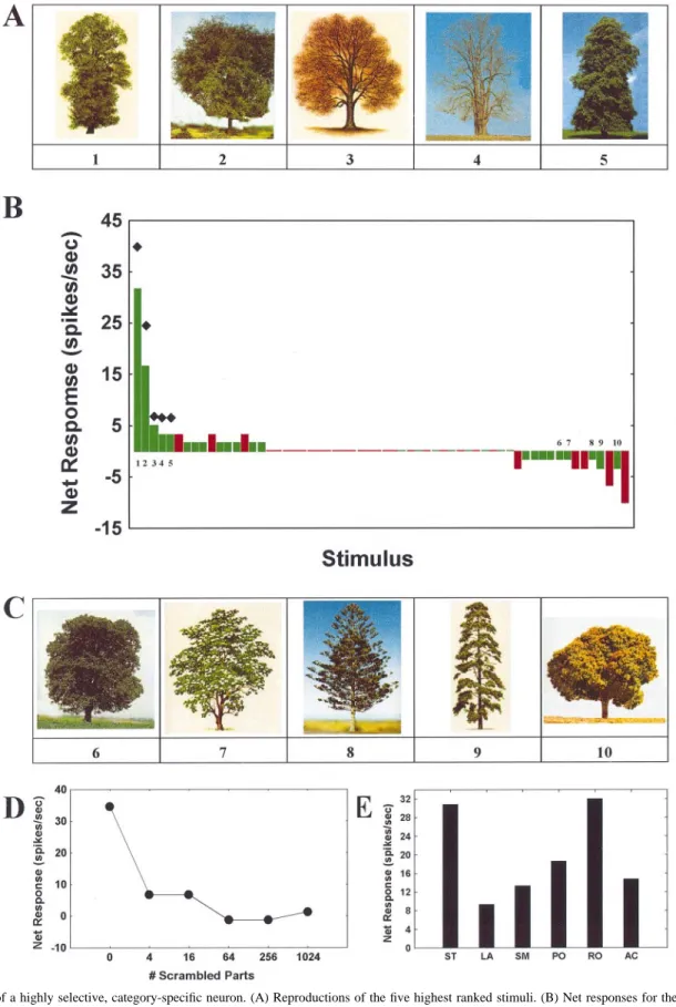 Figure 6 shows a sharply tuned tree-selective neuron, the response of which was also strongly affected by scrambling (Fig