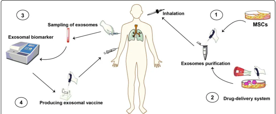 Fig. 4 Therapeutic application of exosomes in the treatment of SARS-CoV-2 virus infection