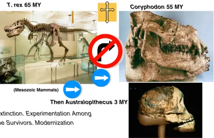 Fig. 10 Biological-like evolu-