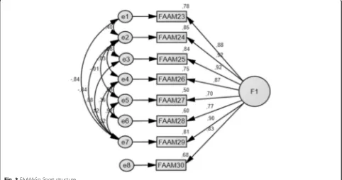 Fig. 3 FAAM-Sp Sport structure