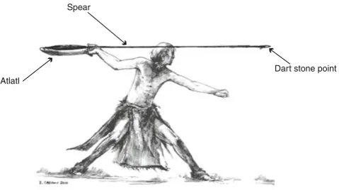 Fig. 1 The use of an atlatl and components of the technology
