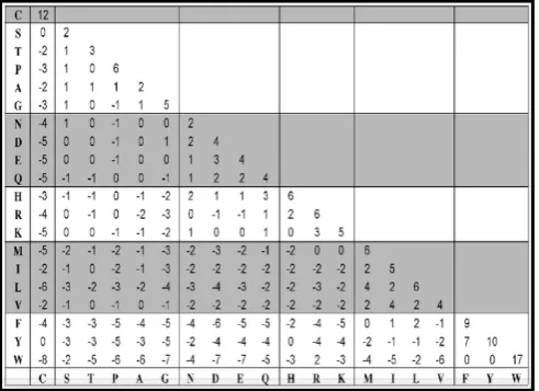 Figure 5. Blosum62 Substitution Matrix [6]. 