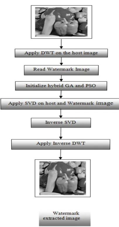 Figure  8.  The flowchart of proposed methodology  