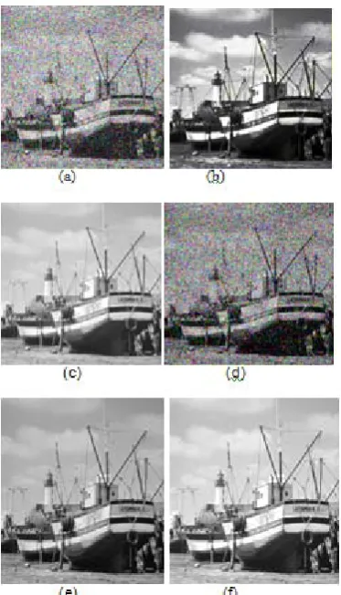 Figure 9.output host images obtained after applying (a)  Gaussian filter attack (b) Speckle noise (c) Sharpening (d) Salt and pepper noise (e)  without  attack   (f)Average filtering  