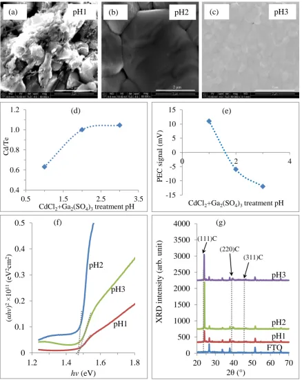 Figure 2: Typical results of SEM, EDX, PEC, optical absorption and XRD measurements   