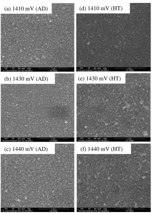 Figure 8: SEM micrographs of as-deposited (AD) and heat treated ZnS layers 