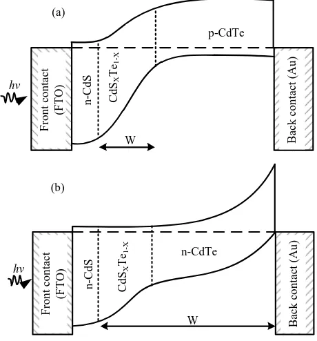 Figure 6. Energy band diagrams representing (a) glass/FTO/n-CdS/p-CdTe/Au and (b) glass/FTO/ n-CdS/n-CdTe/Au device configurations