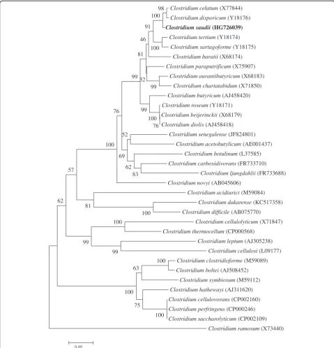 Figure 1 A consensus phylogenetic tree highlighting the position of Clostridium saudii strain JCCT relative to other type strains withinthe genus Clostridium