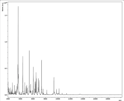 Figure 4 Reference mass spectrum from C. saudii strain JCCT. Spectra from 12 individual colonies were compared and a reference spectrumwas generated.
