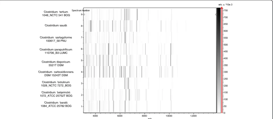 Table 3 Genomic comparison of C. saudii and 9 other members of Clostridium species†