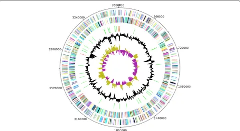 Figure 6 Graphical circular map of the chromosome. From outside to the center: Genes on the forward strand (colored by COG categories),genes on the reverse strand (colored by COG categories), RNA genes (tRNAs green, rRNAs red), GC content, and GC skew.